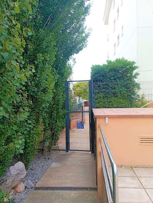 Apartamento En Primera Linea De Mar Ρόζες Εξωτερικό φωτογραφία